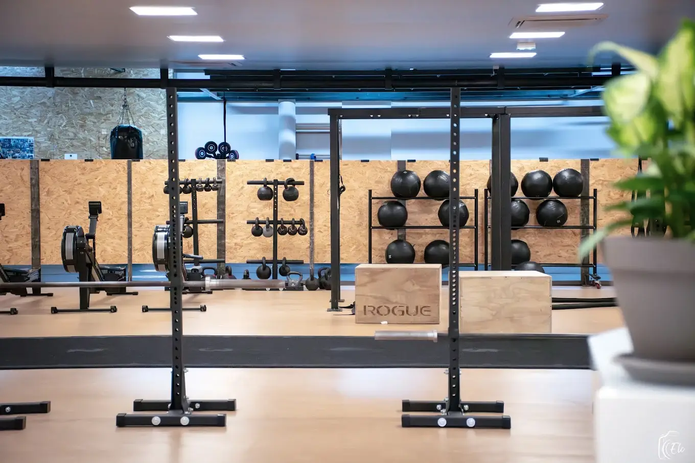 Espace cross-training de Cross Training Nation à Semur-en-Auxois : rack, kettlebells, wall balls et rameurs