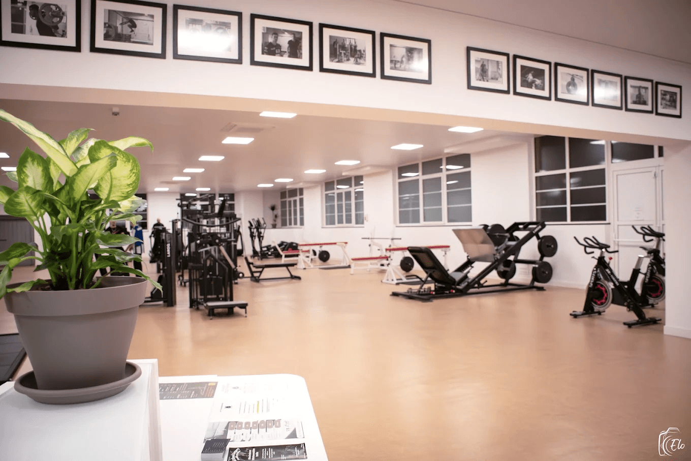 Grande salle de musculation et cardio de Cross Training Nation : machines guidées, presse à cuisses et vélos de spinning