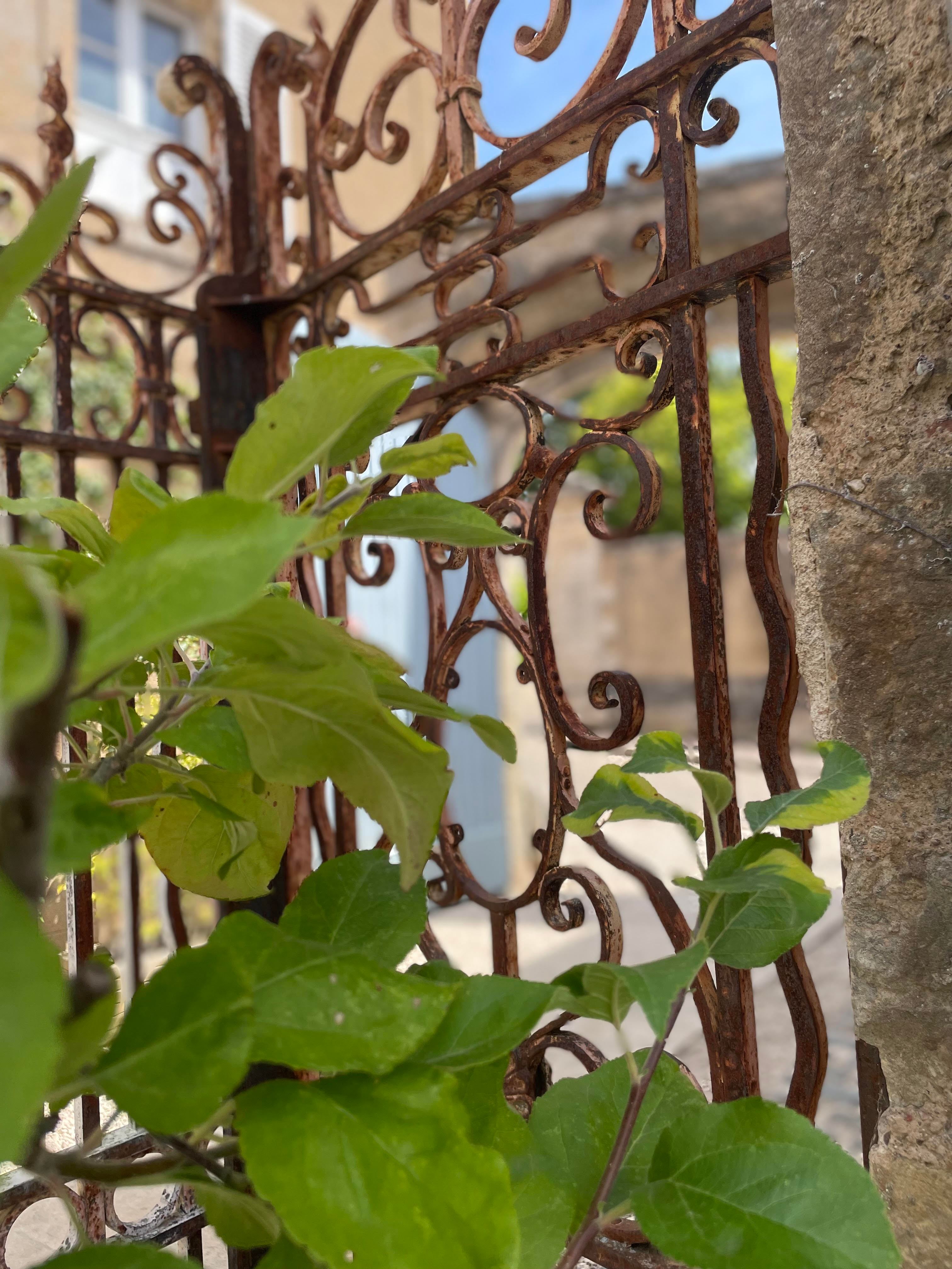 Grille en fer forgé ancienne et feuillage dans une ruelle de la cité médiévale de Semur-en-Auxois
