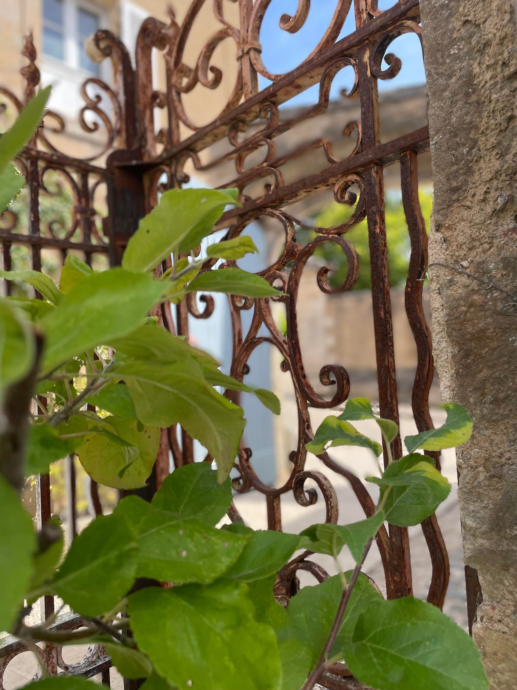 Grille en fer forgé ancienne et feuillage dans une ruelle de la cité médiévale de Semur-en-Auxois