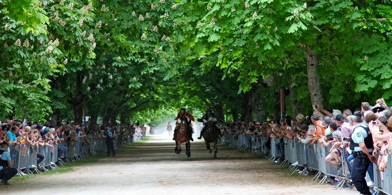 Cavaliers s'élançant sur le mail lors de la course de la Bague à Semur-en-Auxois