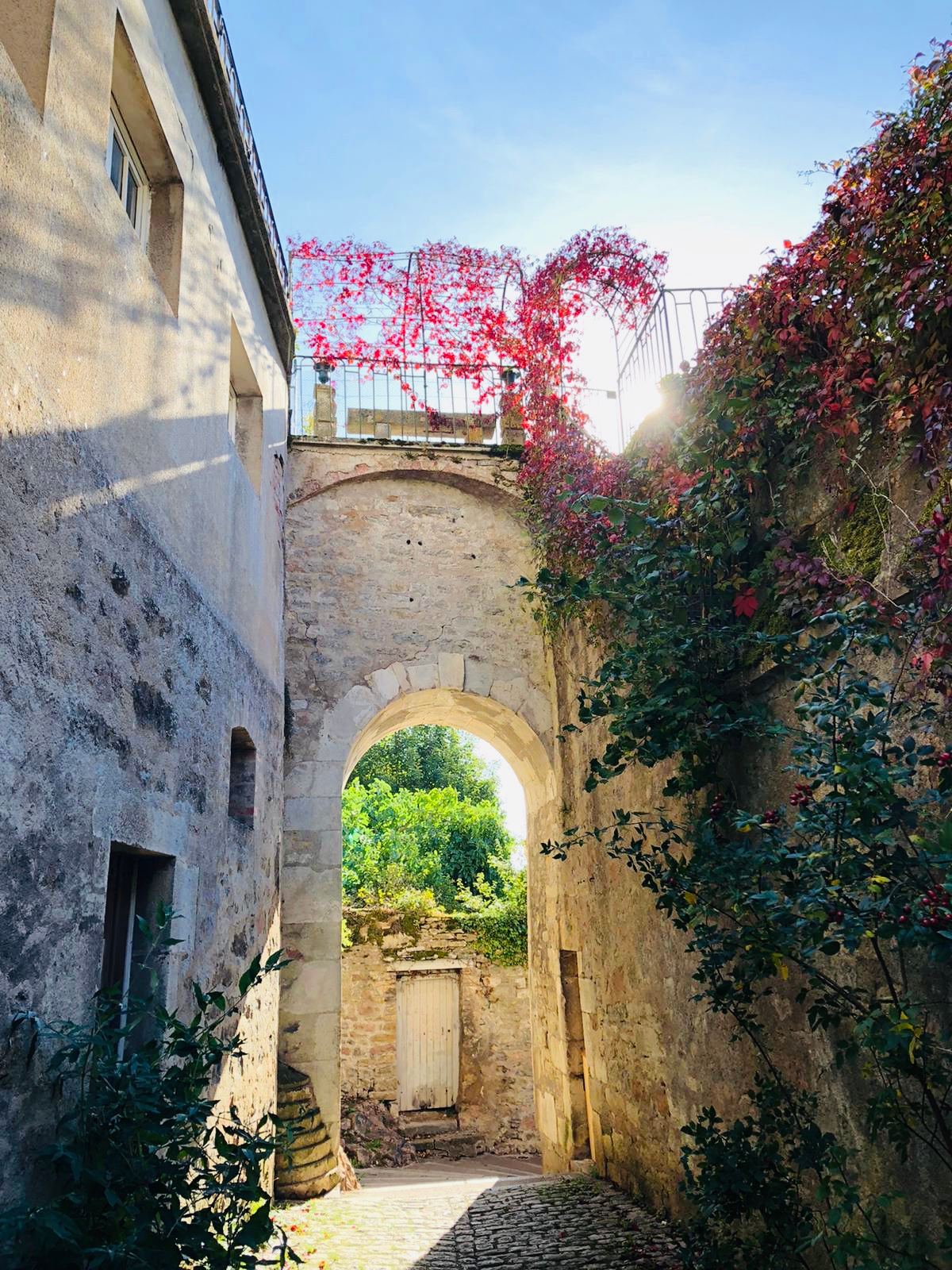 Passage voûté en pierre d'une ruelle médiévale de Semur-en-Auxois, vigne vierge rouge à l'automne