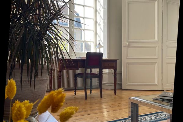 Salon avec bureau face à la fenêtre, tapis persan et plantes vertes